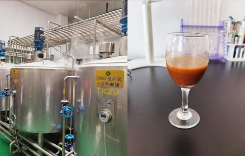 宁夏 红枣高值化健康产品加工关键技术研究与示范 项目通过验收