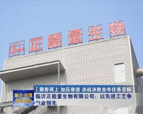 临港这家企业不仅是国内同行业的标杆,而且还......