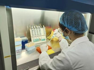 两款新型冠状病毒检测试剂盒进入临床验证阶段