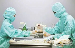 3d个性化骨骼打印 冷冻消融技术 生物芯片,宁波杭州湾新区生命健康产业迈入百亿级