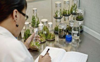 生物工程专业该考研吗?