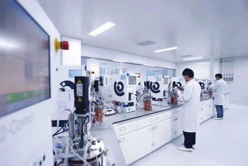 齐鲁制药入选 中国bigpharma企业创新力top10排行榜