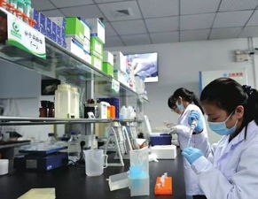 一周新闻汇