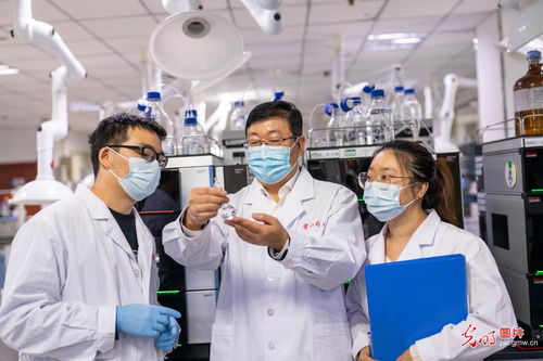 河北正定 科技创新引领高质量发展