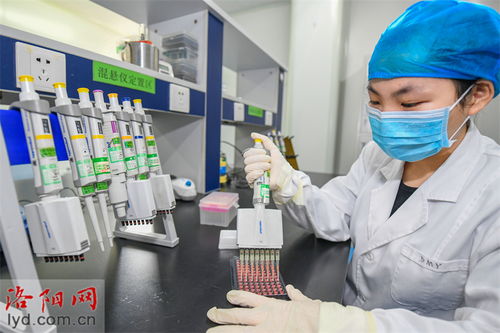 洛阳惠中生物技术 坚持创新引领 保持行业领先