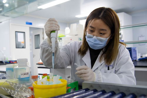 老工业区里的新兴力量