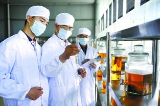 科学利用 秸秆生金