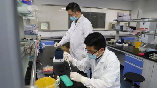 科技抗疫 新冠病毒核酸检测提速,沪企将时间缩短至1小时