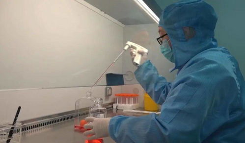 全球首创 济南企业研发的细菌溶瘤1类生物新药获批ⅱ期临床试验