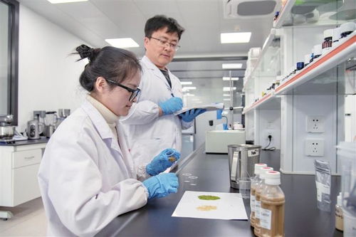 安琪集团蛋白质营养与调味技术中心实验室捷报频传 创新让酵母蛋白走向大众餐桌