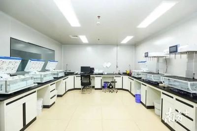 十年布局生物医药,松山湖将打造“加强版”产业集群