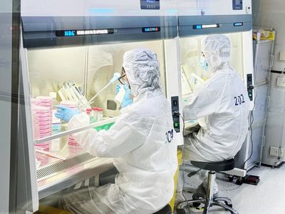 布林凯斯用病毒载体破解"大脑黑匣子",技术方案落地全球500余家科研机构