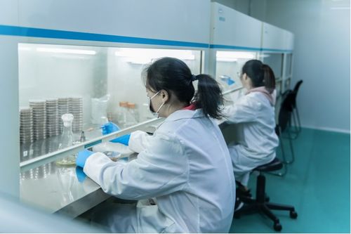 凯赛生物 加速 掘金 超千亿合成生物赛道 新质生产力看张江