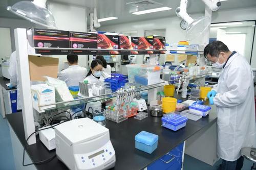 上海科技党建 全力以赴 争分夺秒加强科技攻关 李强调研生物医药企业,要求加快抗疫产品研发 应用 生产