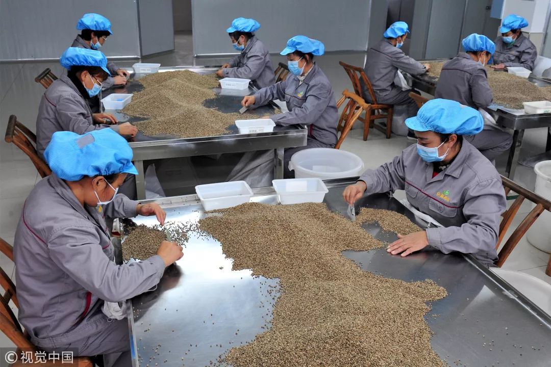 【热点速递】中科康膳贵阳基地:带动产业集群发展 打造国家级研发检测中心