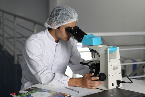 茵冠生物 获香港上市公司 美瑞健康国际 战略投资,专注细胞与基因生物技术创新研发