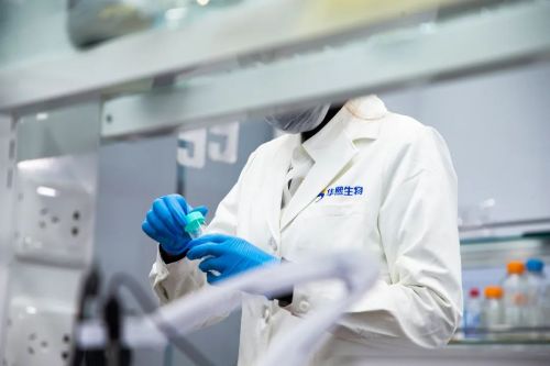 华熙生物 2023财报原料业务高质量增长,海外业务表现亮眼