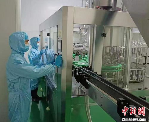 民企奋进自贸港 海归博士海南探路大健康产业新机