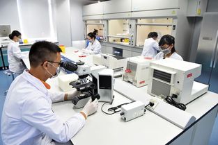广东省城市建设技师学院