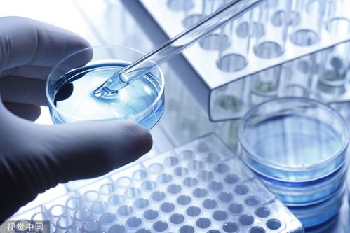 轩凯生物闯关科创板 毛利率持续下滑,九成主营业务来自单一应用领域 ipo观察