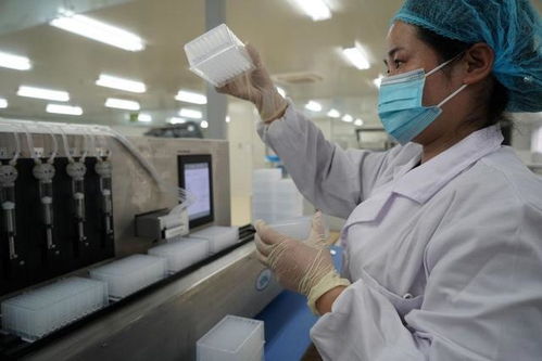 累计产出1500万人份新冠病毒检测试剂盒,从这里飞向全国