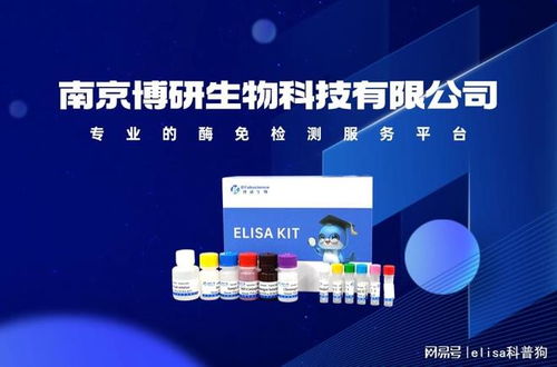 精准检测与科研创新 南京博研生物百日咳fha抗体检测技术突破