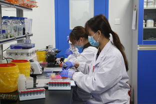 聚焦武汉解码中部引擎 探访光谷生物城