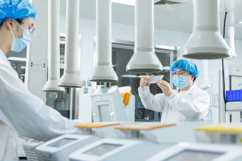 金斯瑞生物科技2023年业绩 五年复合增长率超30