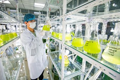 德州地福来生物科技:研发与推广并重 微藻肥田10万亩