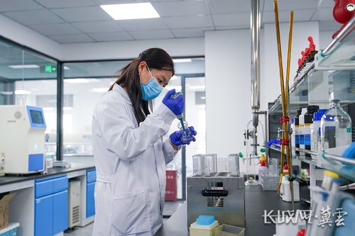 衡水新闻网