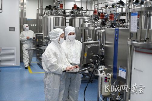 河北石家庄 做中国人自己的好药