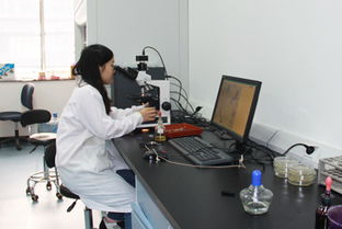 阿姆斯生物技术 引领复合微生物肥料与菌剂研发的创新之路
