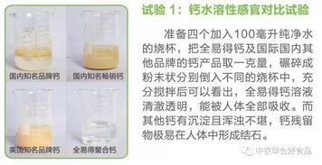 钙 生命必需与健康必备的生物技术研发新视野