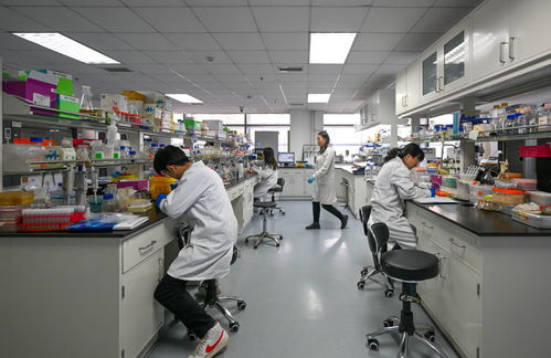 小小细胞的未来含金量 天津竞逐细胞产业新质生产力新赛道观察