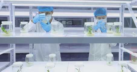 天南地北南漳人|陈涛:一颗生物芯 一片桑梓情 生物技术研发