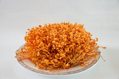 聚鑫北虫草菌业 生物技术研发驱动产业创新